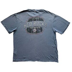 Light Blue Red Rocks Colorado Men's Distressed Graphic T Shirt